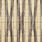 palm paneling texture - c4 detail